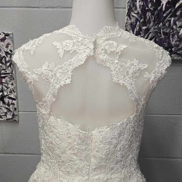 Elegant White Lace Wedding Dress - Picture 13 of 16